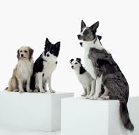 Dog Tales poster