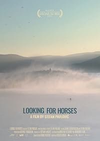 Looking for Horses poster