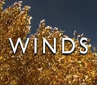 The Weather poster