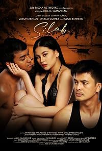 Silab poster