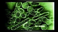 Why Do Viruses Kill? poster