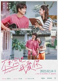 Bu yao wang ji wo ai ni poster
