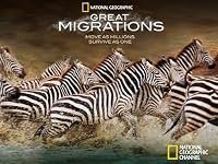 Great Migrations poster