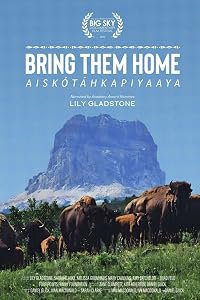 Buffalo Stone poster
