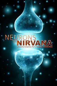 Neurons to Nirvana poster
