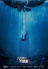 Ba chi men de bian hu ren poster