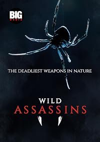 Wild Assassins poster