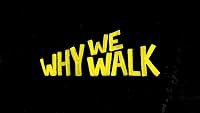 Why We Walk poster