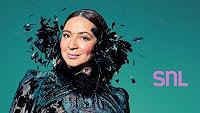Maya Rudolph/Vampire Weekend poster