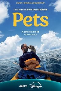 Pets poster