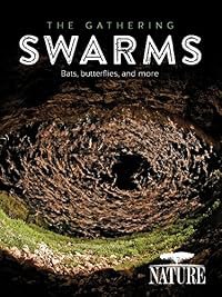 The Gathering Swarms poster