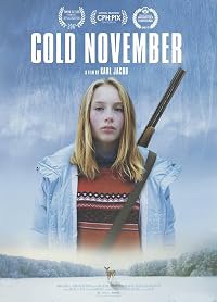 Cold November poster