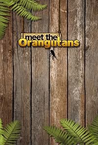 Meet the Orangutans poster