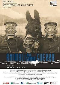 Animali nella Grande Guerra poster