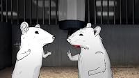 Rats poster