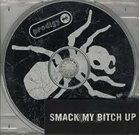 The Prodigy: Smack My Bitch Up poster