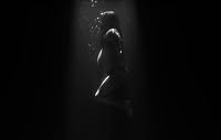 James Blake: My Willing Heart poster