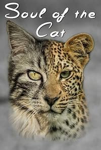 Soul of the Cat poster