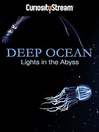 Lights in the Abyss poster
