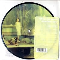 Red Hot Chili Peppers: Desecration Smile poster