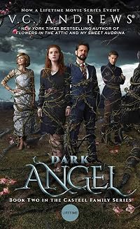 Dark Angel poster