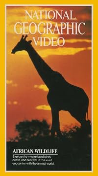 African Wildlife poster
