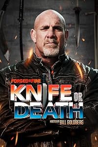 Forged in Fire All Stars poster
