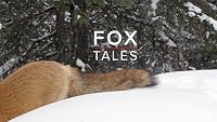 Fox Tales poster
